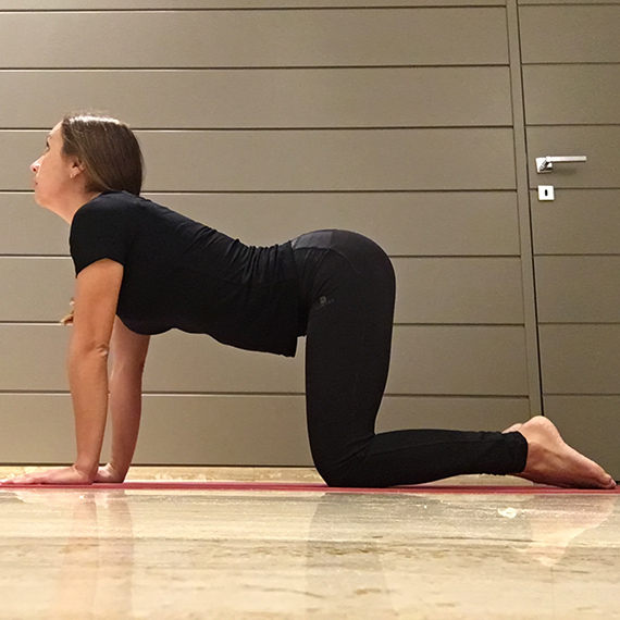 Cominciare bene la giornata con lo yoga - Claudia Porta su iocominciobene - posizione gatto